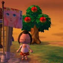 formerly-luna-no-mori avatar