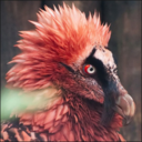 formerlyfrages avatar