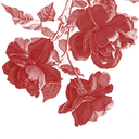 formerlylastyoungrenegade avatar