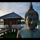 formidablebeardmiguel avatar