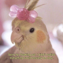 formuladisaster avatar