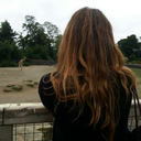 fornoamicroonde-blog avatar