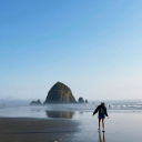 forrest-fairy143 avatar