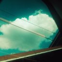 forrestdacardinal avatar