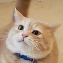 forrestsandfeathers0 avatar