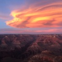 forreststories avatar