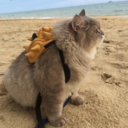 forrever-in-love avatar