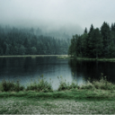 forsakennostalgia avatar