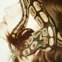 forsakensnake avatar