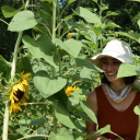 forsythialeaf avatar