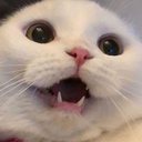 fortapte-sjeler-blog avatar