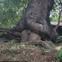 forthegreatergay avatar