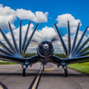 fortheloveofcorsairs avatar