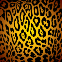 fortheloveofleopardprint-blog avatar