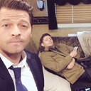 fortheloveofmishacollins avatar