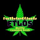 fortheluvofseeds avatar