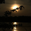 forthethrillofitx avatar