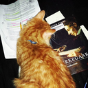 forthose-whowander avatar