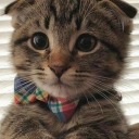 fortunaaudacessequitur avatar