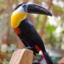 fortunatelyshynerd avatar