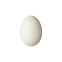 fortuneegg avatar
