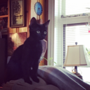 forwardupandbeyond avatar