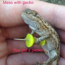 forwhenshithitsthefan avatar