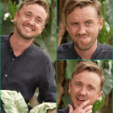 foryoutomfelton avatar