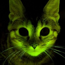 fosforluyesilimsi avatar