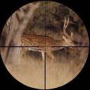 fossadeiserpenti avatar