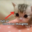 fossilizedhysterics avatar