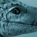 fossilsandfeathers avatar