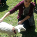 fostercarrots avatar