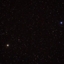 fosteredapricots avatar