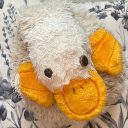 fosterthebonelessduck avatar