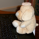 fosterwee avatar
