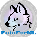 fotofurnl avatar