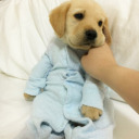 fotografalbumu avatar