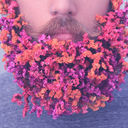 fotografinsani avatar