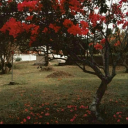 foulpoetrytimemachine avatar