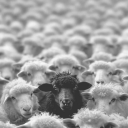 foulyouthdefendor avatar