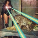 foun-dinabook avatar