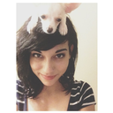 found-in-lights-blog-blog avatar