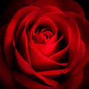 fourohfourlifenotfound avatar