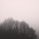 foursfiveseconds-blog avatar