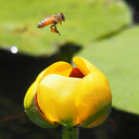 fourthsonphotos avatar