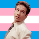 fox-mulder-is-trans avatar