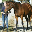 fox-onthe-run avatar