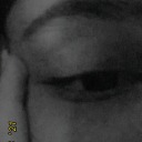 foxeswhosetailsicutoff avatar