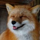 foxgirlfitness avatar